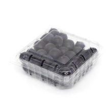 Clear nice rectangular clear plastic fruit  punnet